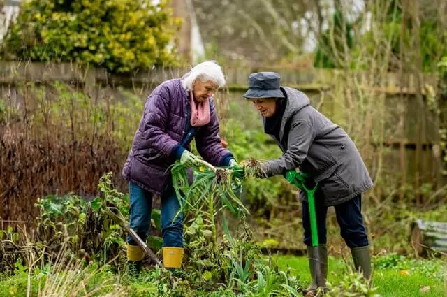 Hobbies for 90 year old woman