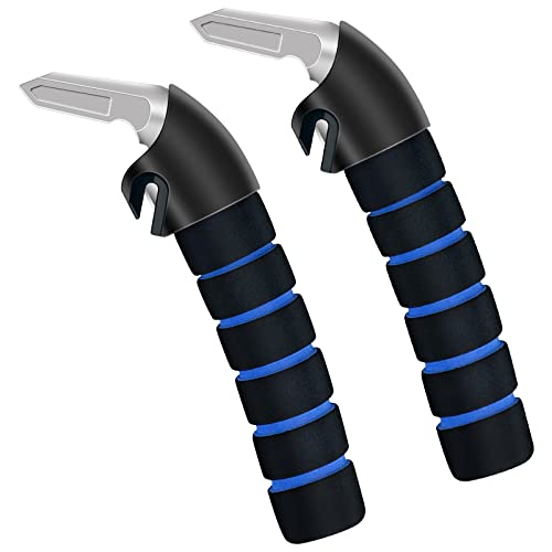 best car handle assist for elderly​