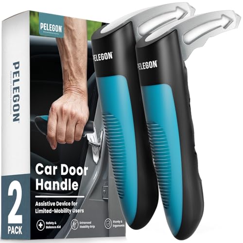 best car handle assist for elderly​