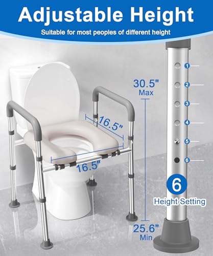 Best Raised Toilet Seat With Arms