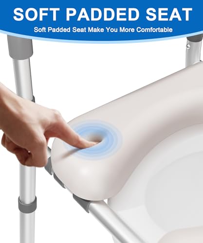 Best Raised Toilet Seat With Handles