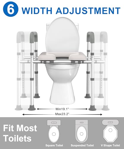 Best Raised Toilet Seat With Bars Lifestyle