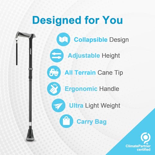 Best Folding Walking Sticks For Seniors