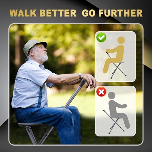 Best Walking Cane With Seat For Seniors