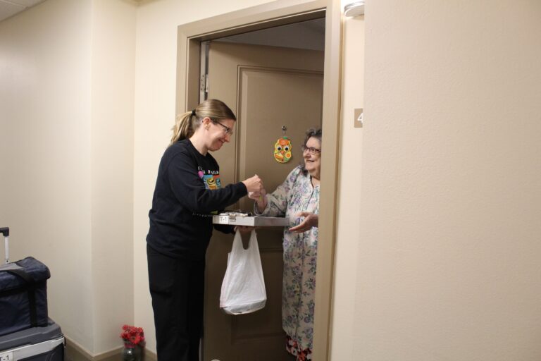 What Services Are Available For Seniors At Home