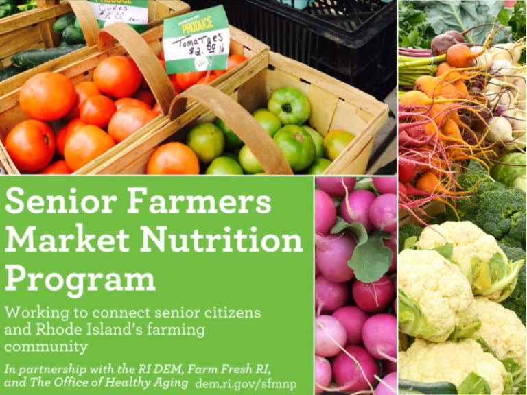 What Food Assistance Programs For Seniors