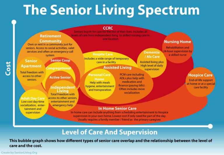 What Are The Different Types Of Senior Care